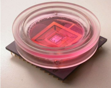 生物传感器